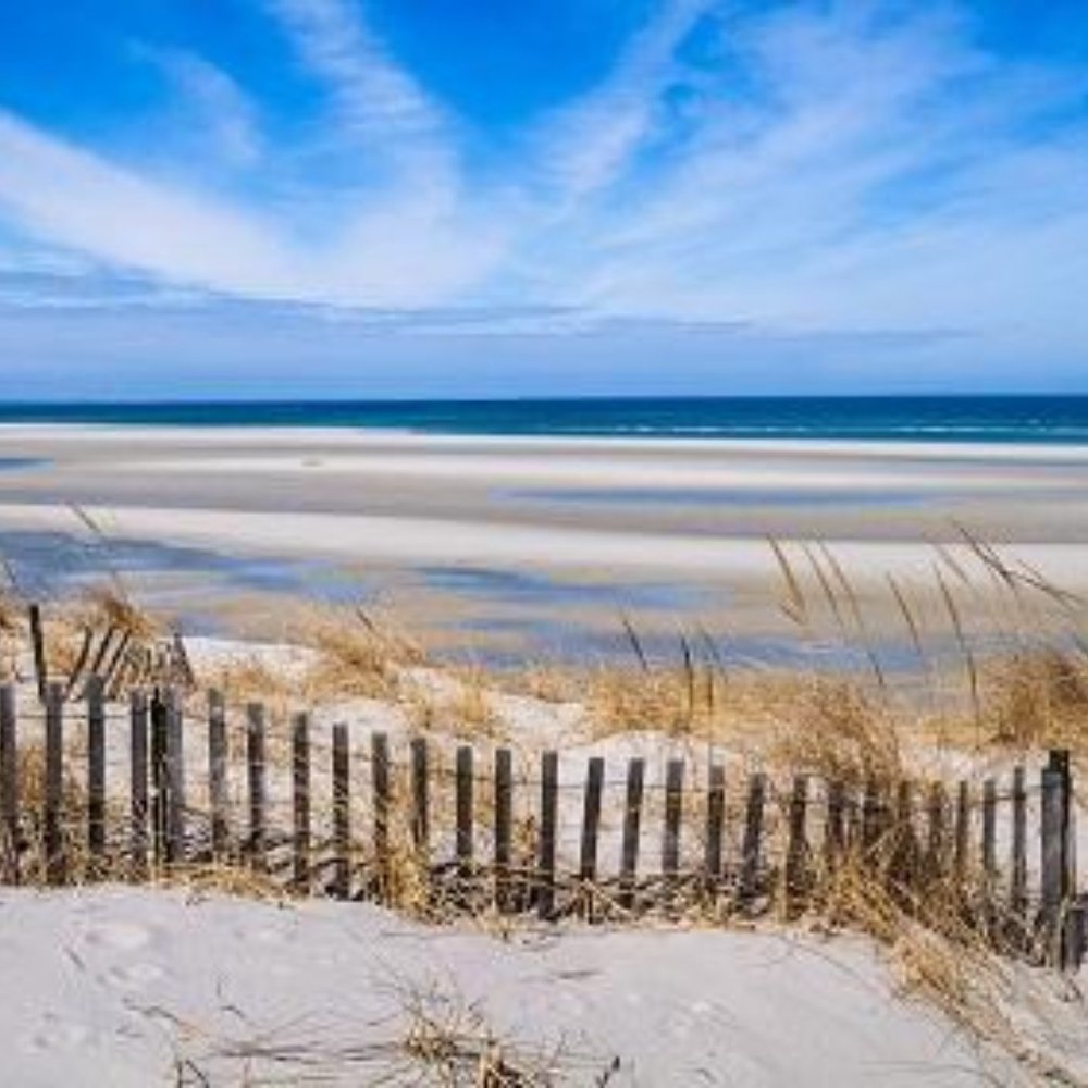 Meet your Posher, Juliann